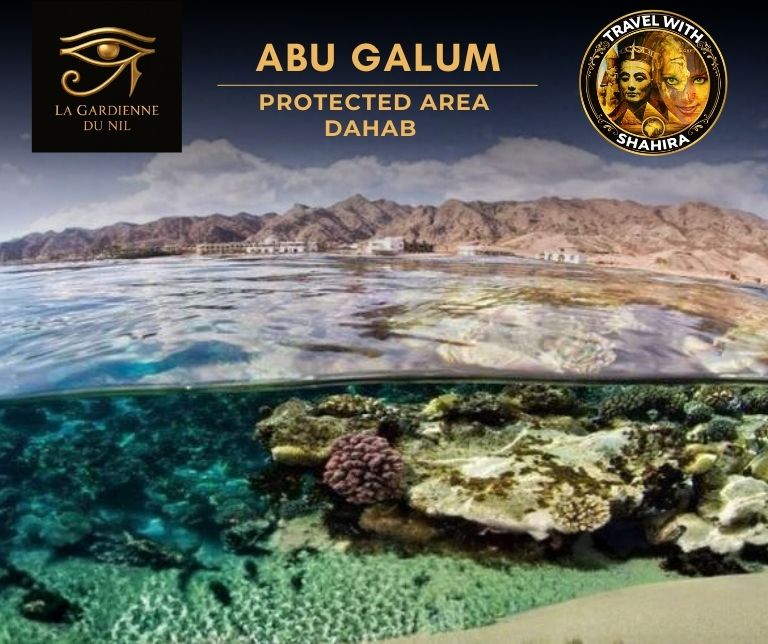 Abu Galum_dahab_lagardienne_dunil_travel_with_shaihra