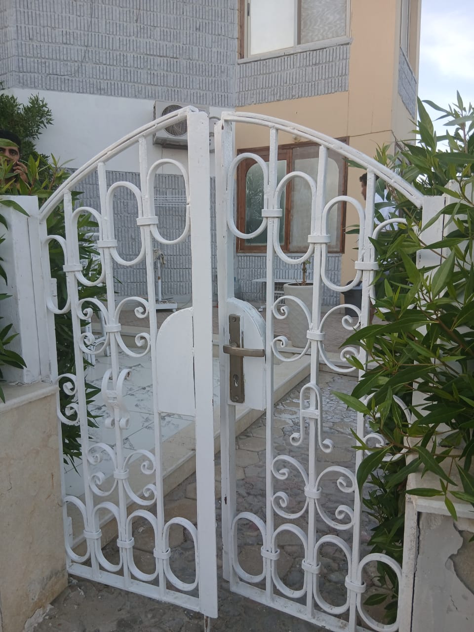 R12_lagardienne_du_nil (1)