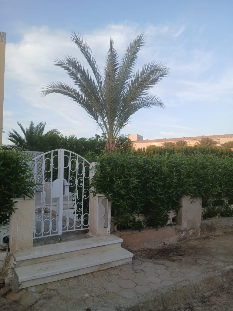 R12_lagardienne_du_nil (14)