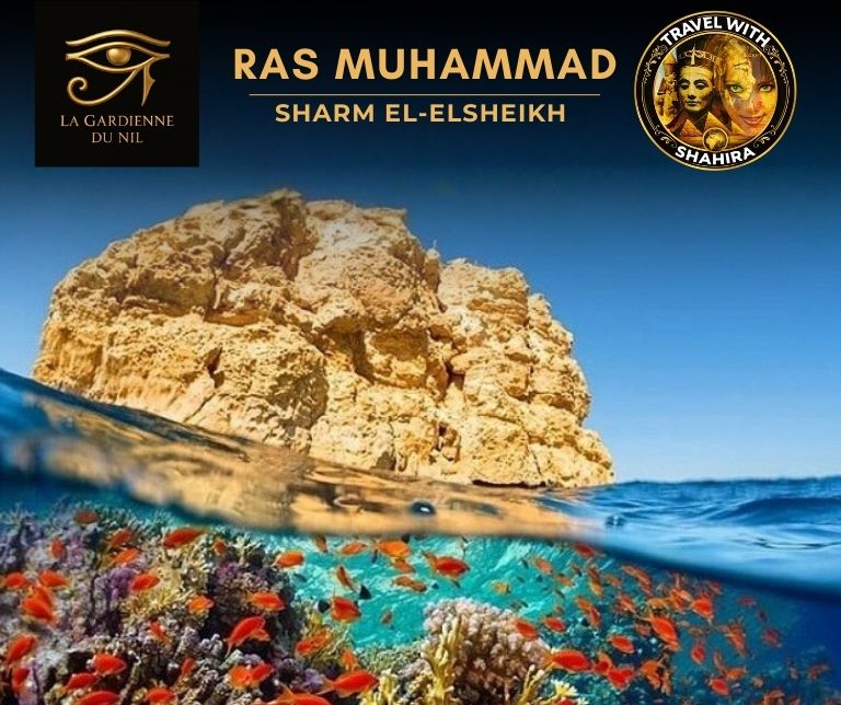 Ras_muhammad _Ras muhammad__lagardienne_dunil_travel_with_shaihra