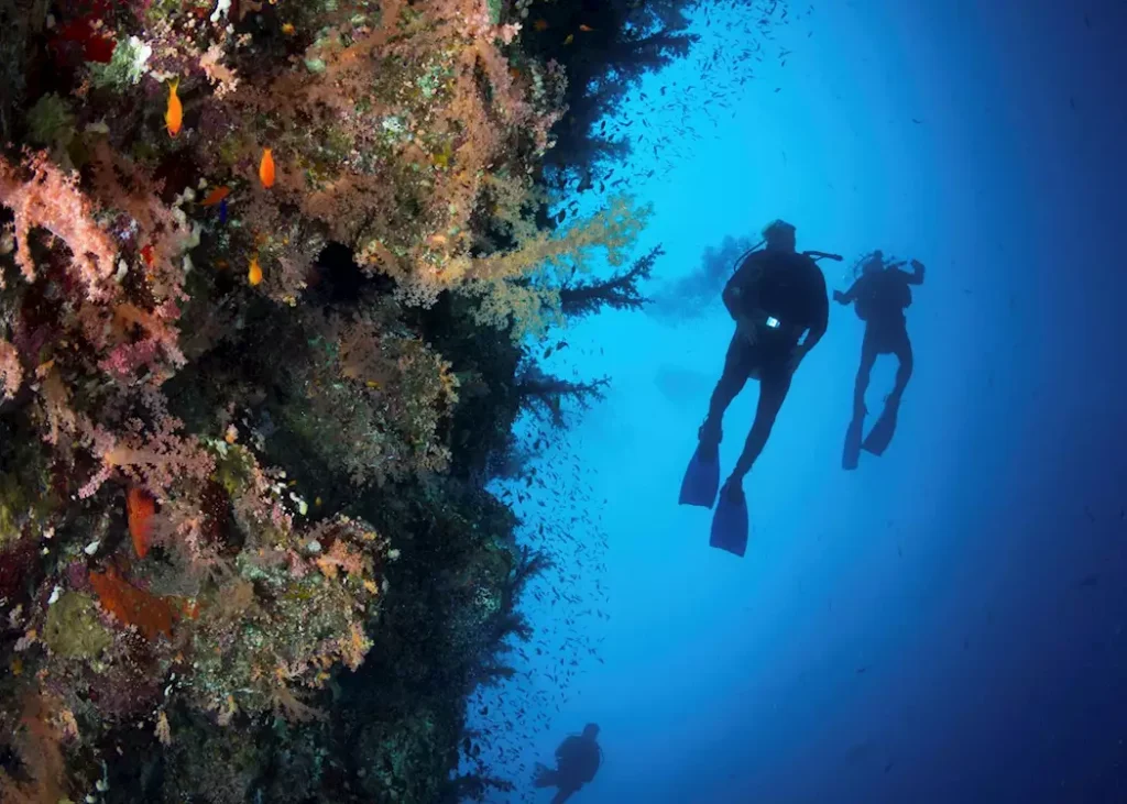 banner_diving