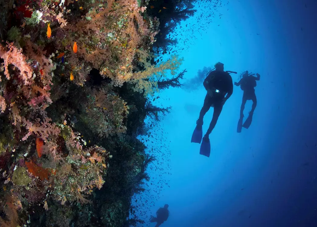 banner_diving