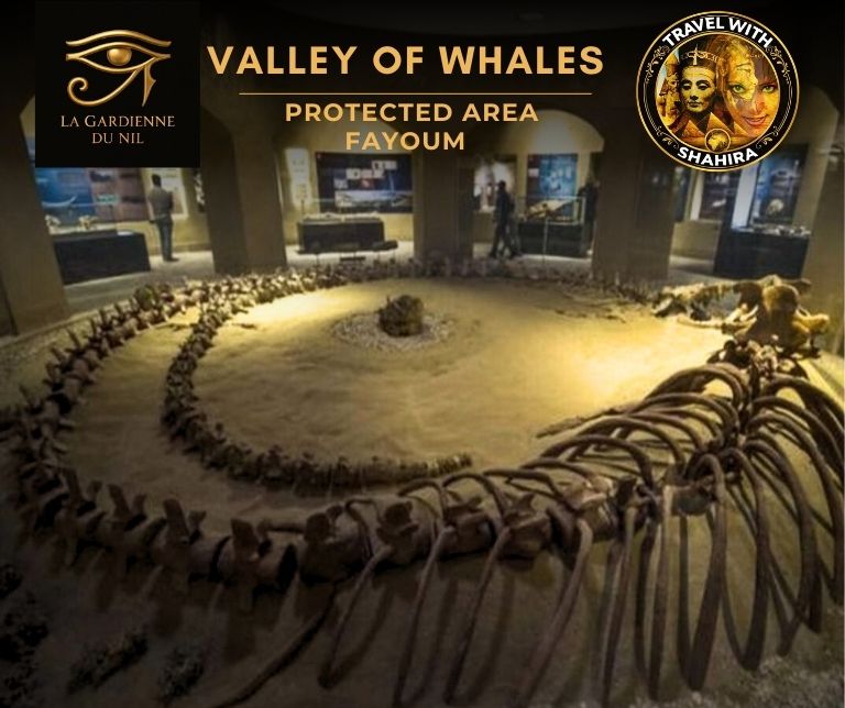 valley_of_whales_fayoum_lagardienne_dunil_travel_with_shaihra