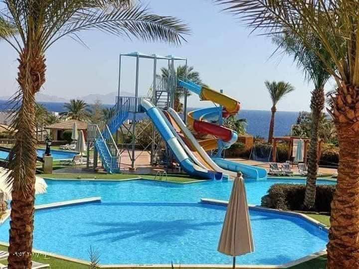 Queen Sharm_Aqua_park_lagardienne_dunil (12)