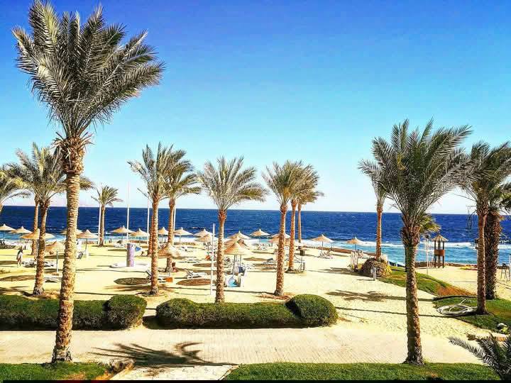 Queen Sharm_Aqua_park_lagardienne_dunil (13)
