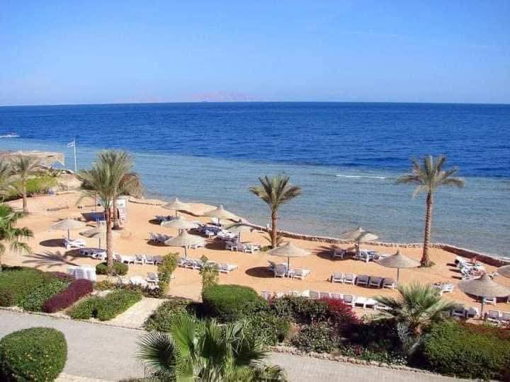 Queen Sharm_Aqua_park_lagardienne_dunil (7)