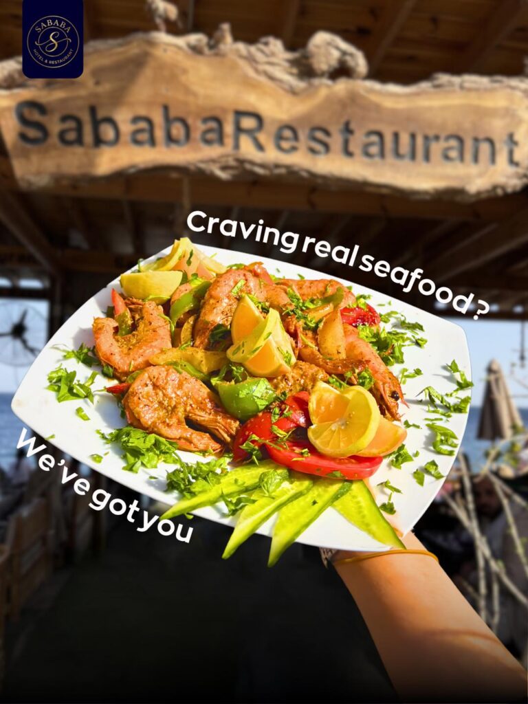 sababa_dahab_lagardienne_du_nil (13)