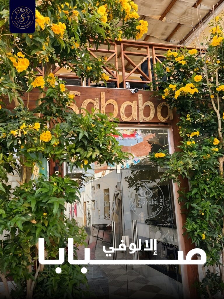 sababa_dahab_lagardienne_du_nil (7)