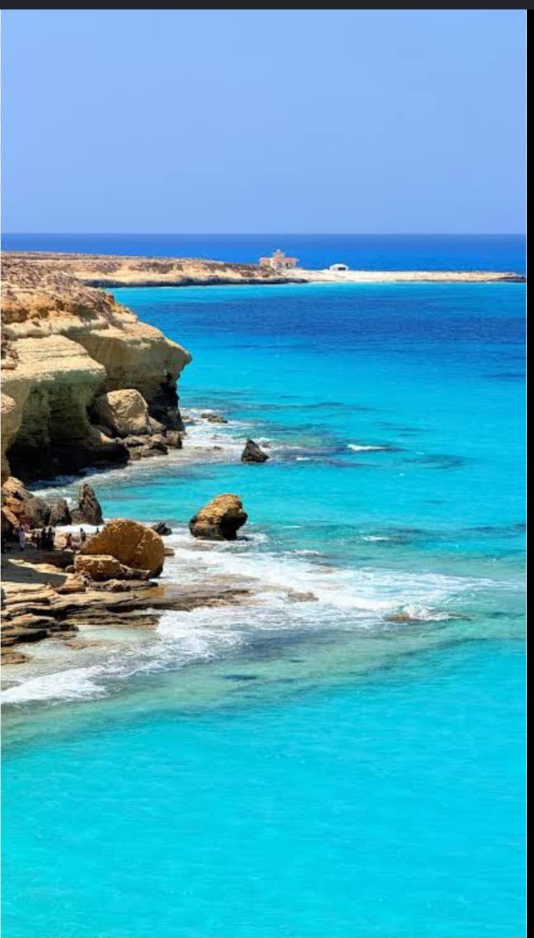 Wadi El Gemal Protected Area_lagardienne_dunil (2)