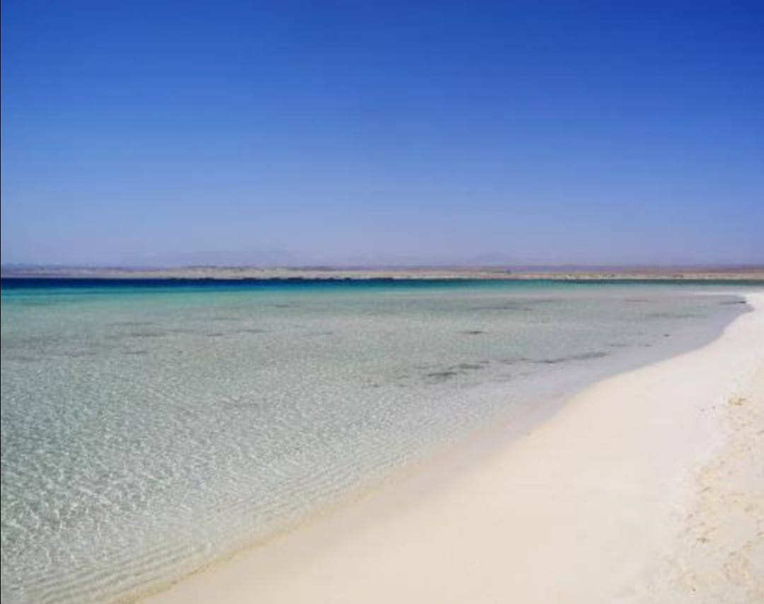 Wadi El Gemal Protected Area_lagardienne_dunil (3)