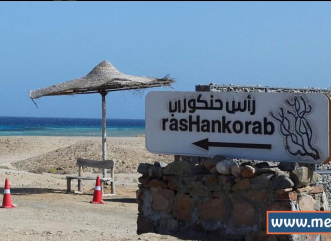 Wadi El Gemal Protected Area_lagardienne_dunil (4)