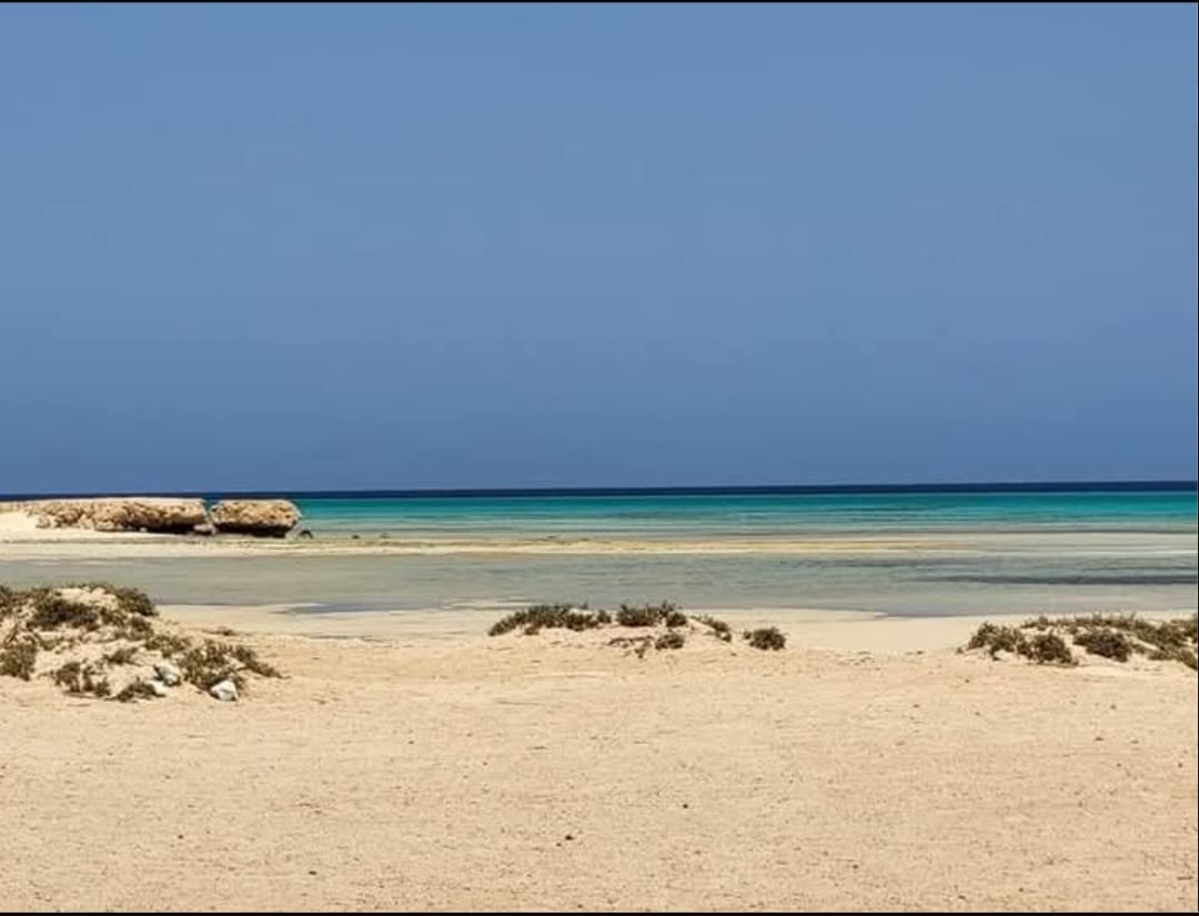 Wadi El Gemal Protected Area_lagardienne_dunil (5)