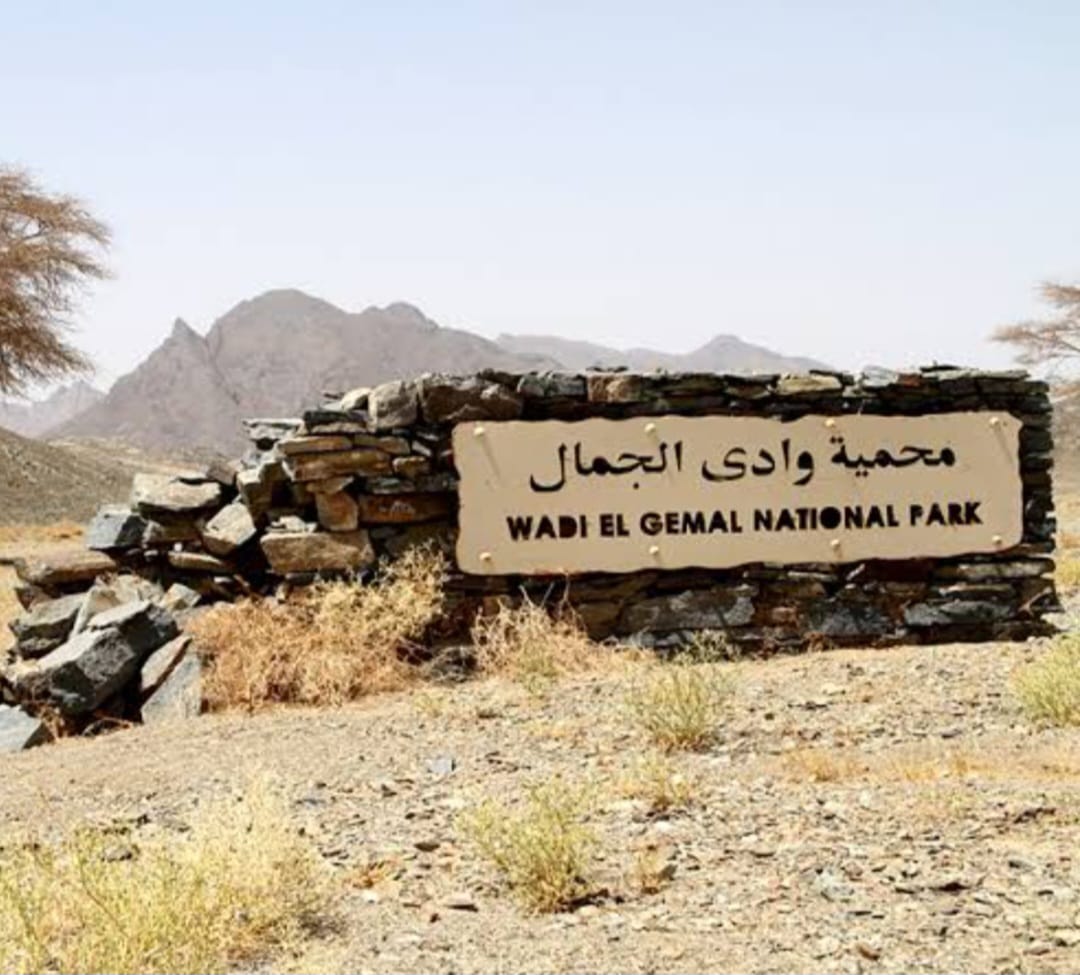 Wadi El Gemal Protected Area_lagardienne_dunil (8)